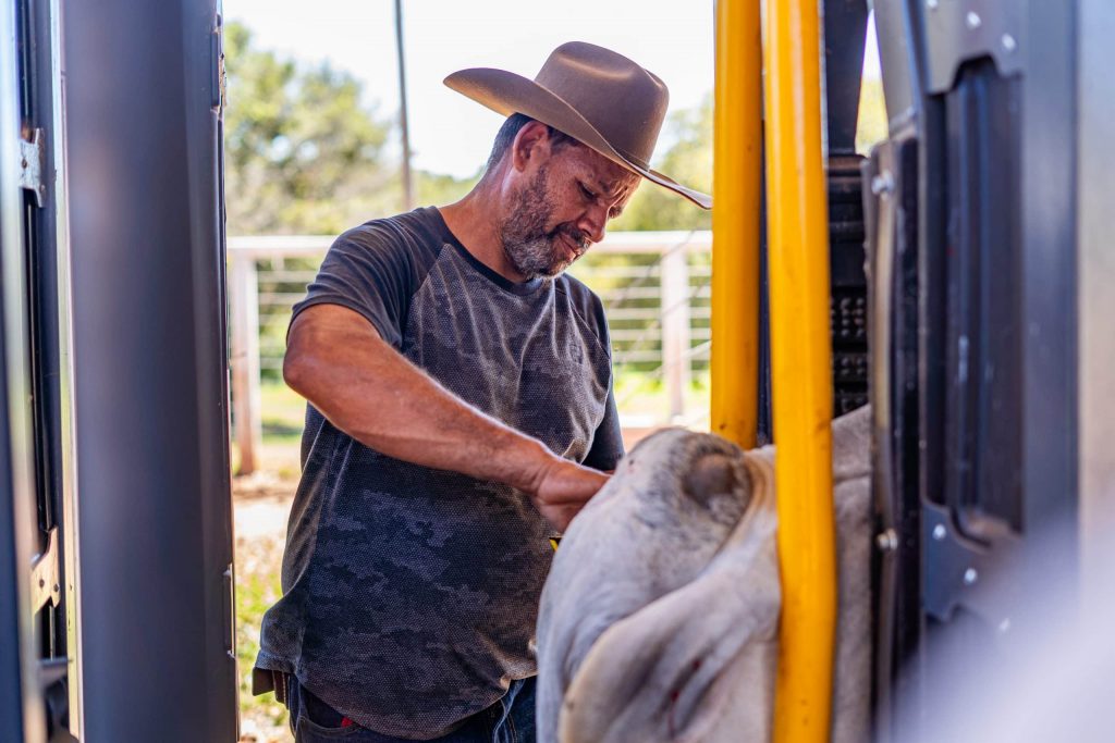 Trabalhadores do Agro - iRancho