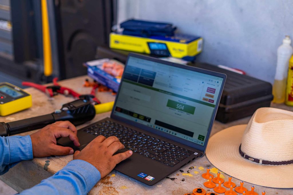 Rastreabilidade bovina e segurança alimentar na pecuária